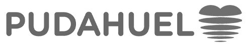 Pudahuel : Brand Short Description Type Here.